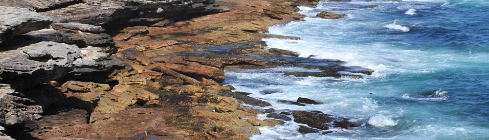 海老沢歯科・矯正歯科