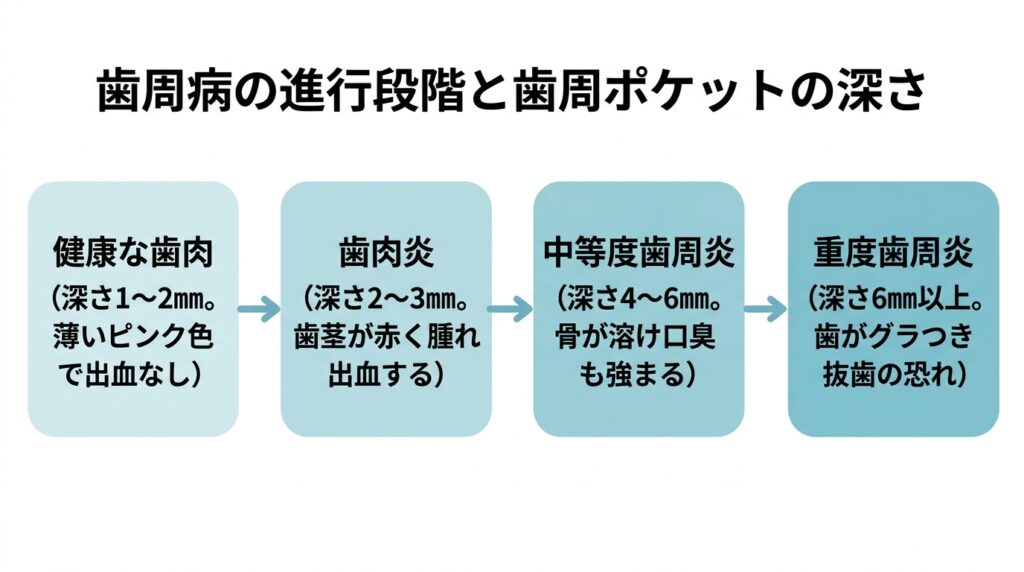 歯周病の進行段階と歯周ポケットの深さ