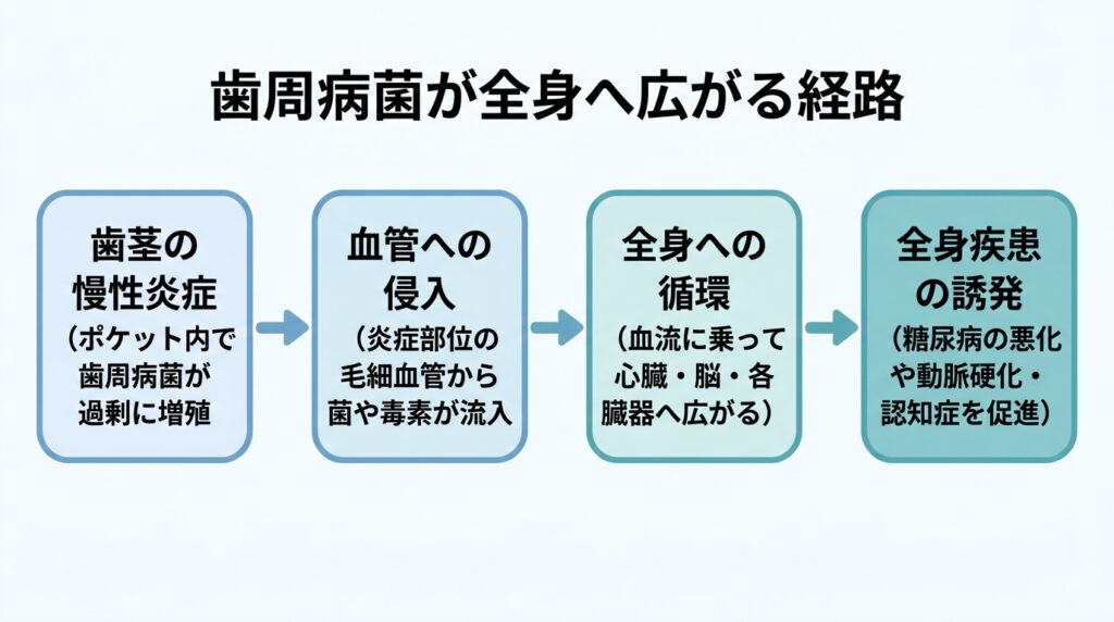 歯周病菌が全身へ広がる経路