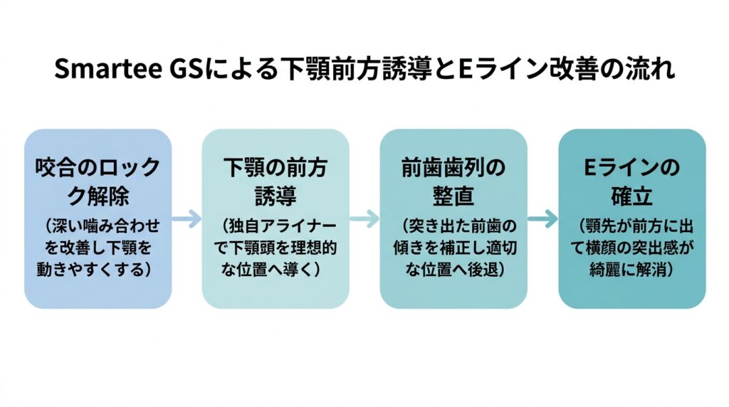 Smartee GSによる下顎前方誘導とEライン改善の流れ