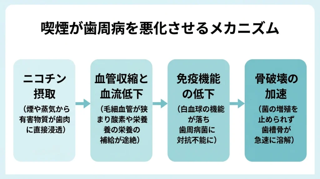 喫煙が歯周病を悪化させるメカニズム