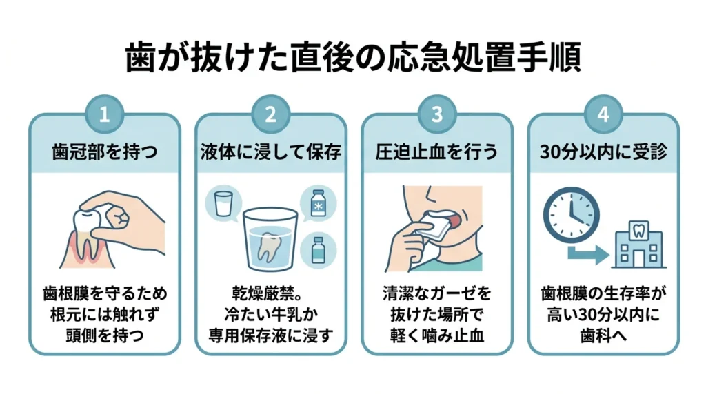 歯が抜けた直後の応急処置手順