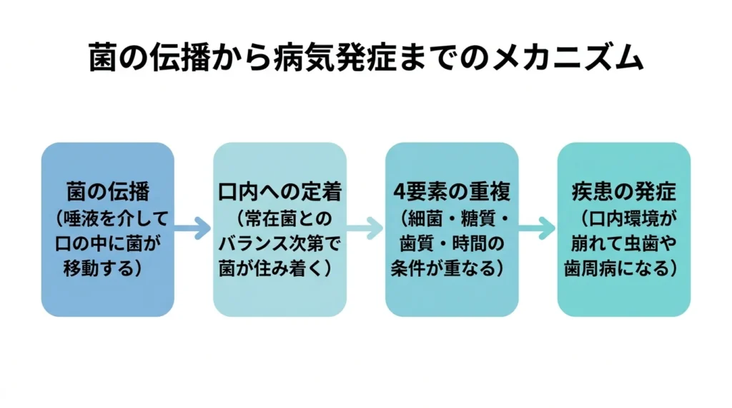 菌の伝播から病気発症までのメカニズム